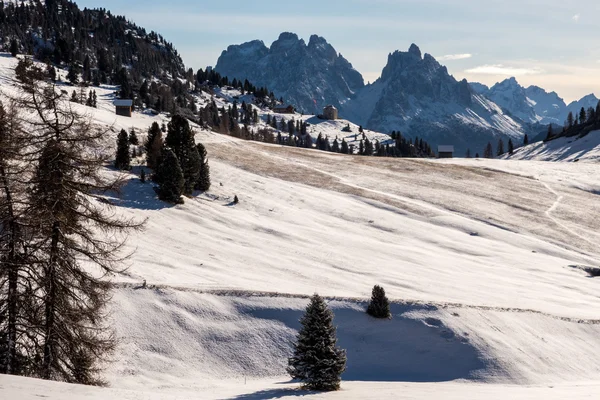 Paisaje bosque de invierno — Foto de Stock