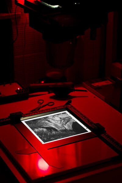 Увеличители и аксессуары для печати
