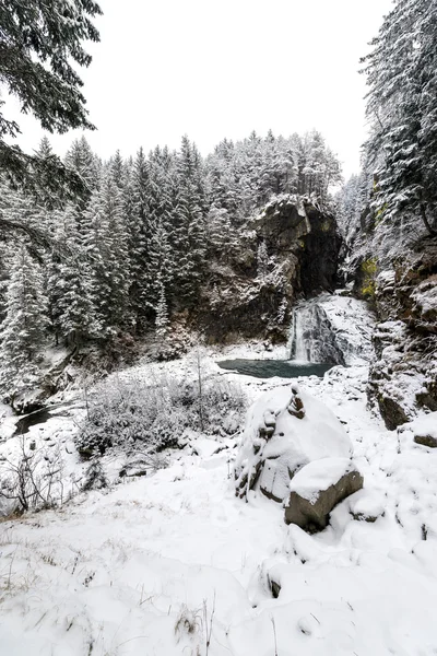Arroyo de montaña en invierno —  Fotos de Stock