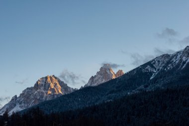 çam ağaçları ile karlı vadi