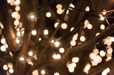 Garland ile dekore edilmiş sokak ağaç 