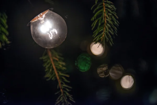 Christmas lights switched on a branch — Stock Photo, Image
