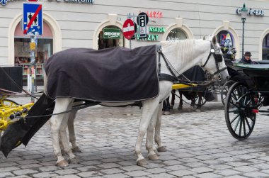 Viyana şehri manzarası, Avusturya