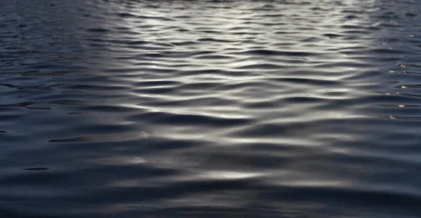 Almanya 'nın Dresden şehrinin manzarası