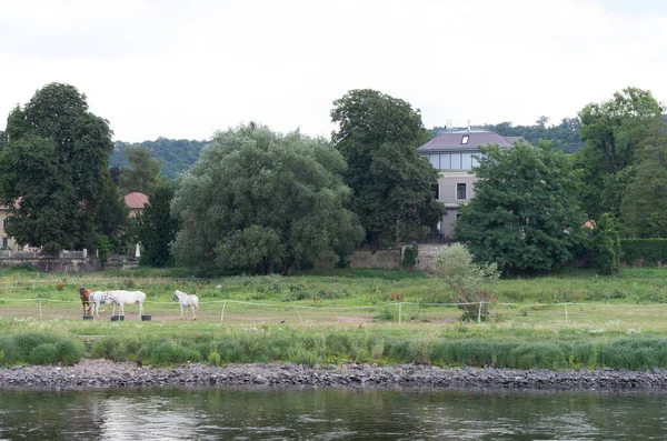 Över Älven Elbe Tyskland — Stockfoto