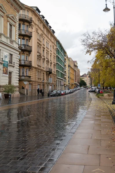 Pohled Budapešť Maďarsko — Stock fotografie