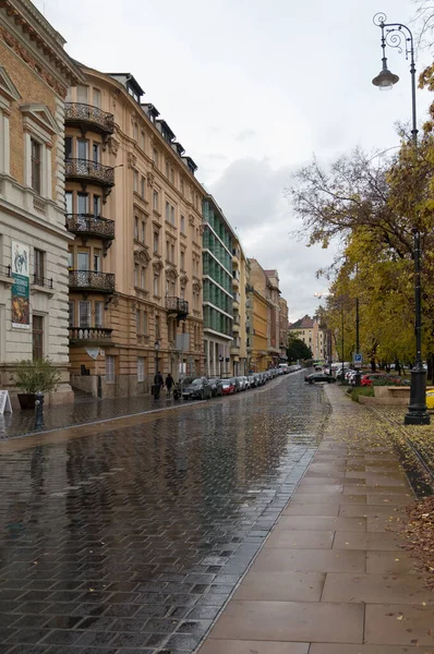 Pohled Budapešť Maďarsko — Stock fotografie