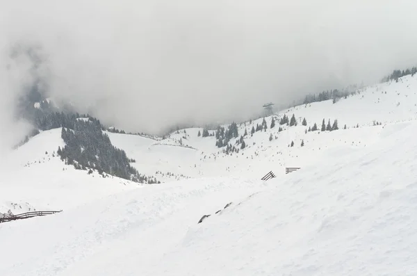 Tirol Manzarası Avusturya — Stok fotoğraf