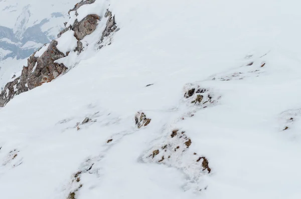 Vista Del Tirol Austria —  Fotos de Stock