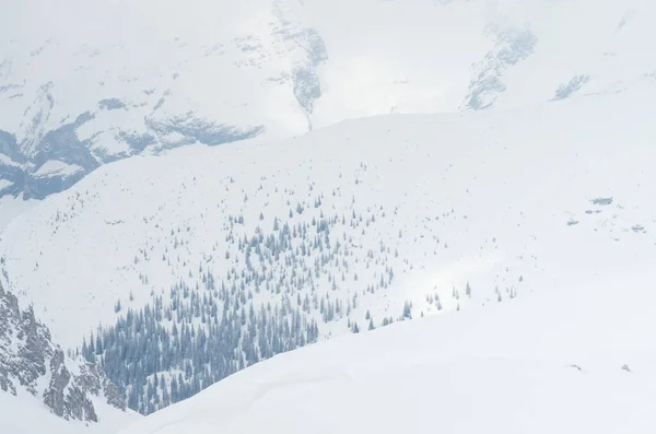 Zicht Tirol Oostenrijk — Stockfoto