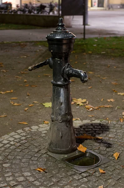 Innsbruck şehri, Avusturya