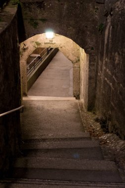 Avusturya 'nın Salzburg şehri manzarası