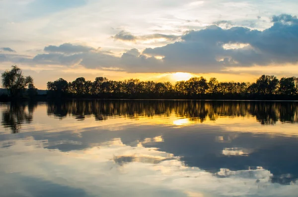 Labuť v jezírku — Stock fotografie