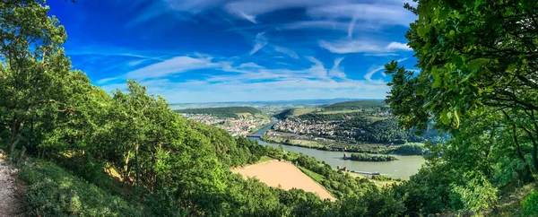 Rüdesheim — Stock Photo, Image