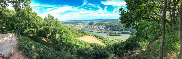 Rüdesheim — Stock Photo, Image