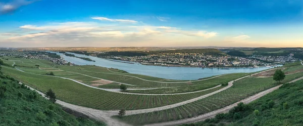 Rüdesheim — Stock Photo, Image