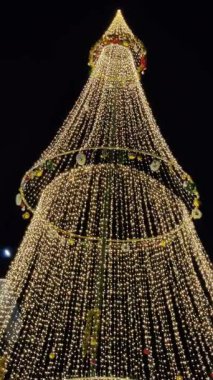 Jaipur, Hindistan 24 Aralık 2025: Yılbaşı arifesinde Jaipur 'daki bir alışveriş merkezinde çekilen karanlık arka planda Noel ağacı dekorasyonu görüntüleri