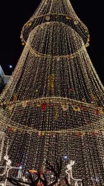 Jaipur, Hindistan 24 Aralık 2025: Yılbaşı arifesinde Jaipur 'daki bir alışveriş merkezinde çekilen karanlık arka planda Noel ağacı dekorasyonu görüntüleri