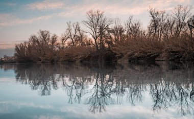 Aguas tranquilas en el lago