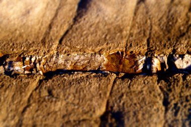 taşın içinde karık