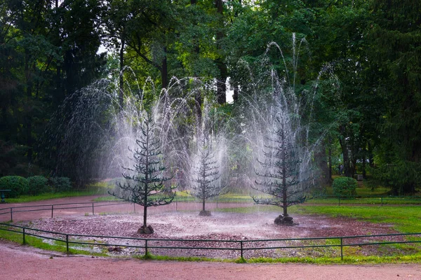 Fountain Cracker Oak Tree Lower Park Peterhof Saint Petersburg Russia — Stock Photo, Image