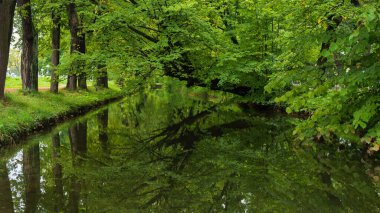 Yeşil yaprakları ve ağaçları yansıtan yapay su kanalı.