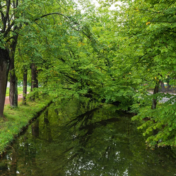 Konstgjord Kanal Med Vatten Som Speglar Gröna Lövverk Och Träd — Stockfoto