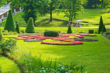 St. Petersburg, Petrodvorets, Rusya - 30 Ağustos 2020: Peterhof 'taki alt parktaki büyük Roma çeşmeleri