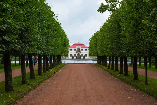 São Petersburgo Petrodvorets Rússia Agosto 2020 Marly Palace Parque Inferior — Fotografia de Stock
