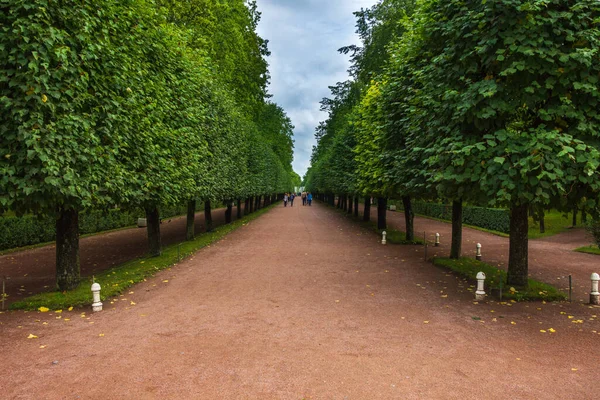 São Petersburgo Petrodvorets Rússia Agosto 2020 Beco Marlinskaya Parque Inferior — Fotografia de Stock