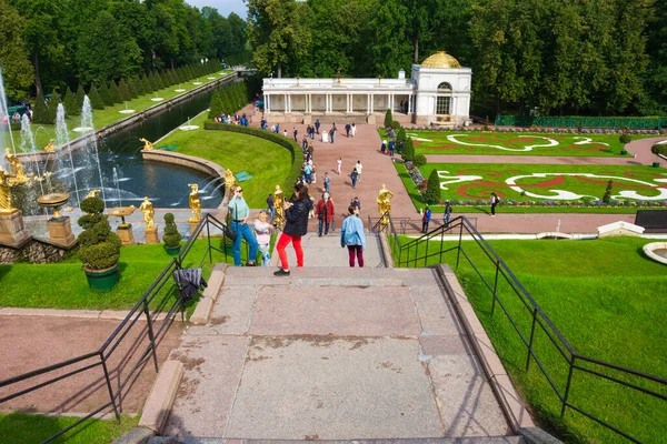 Petersburg Petrodvorez Russland August 2020 Springbrunnen Grand Cascade Unteren Park — Stockfoto