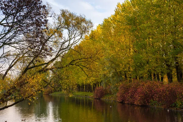 Hösten Moskvas Segerpark Sankt Petersburg Ryssland Träd Reflekteras Vattnet — Stockfoto