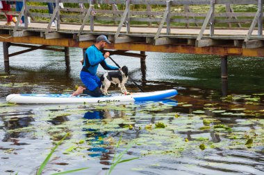 Suzdal, Rusya - 12 Ağustos 2020: Kürek tahtasında adam ve Kamenka nehrinde köpek