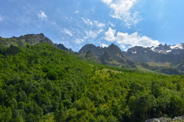 Tseyskoe Vadisi güneşli bir yaz gününde Rusya, Kuzey Osetya.