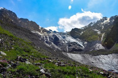 Tsey Buzulu, Büyük Kafkasya 'nın kuzey yamacında bulunan bir buzul vadisidir. Bu, Kuzey Osetya 'daki Kafkasya' nın en büyük ve en alçak batan buzullarından biri.