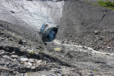 Tsey Buzulu, Büyük Kafkasya 'nın kuzey yamacında bulunan bir buzul vadisidir. Bu, Kuzey Osetya 'daki Kafkasya' nın en büyük ve en alçak batan buzullarından biri.