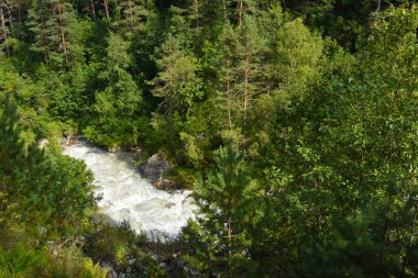 Tsey buzulu sıcak bir yaz gününde erir ve birçok büyük ve küçük dereler oluşturur, Kuzey Osetya, Rusya