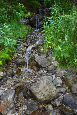 Kuzey Kafkasya 'nın dağlarında küçük bir dere, Kuzey Osetya, Rusya
