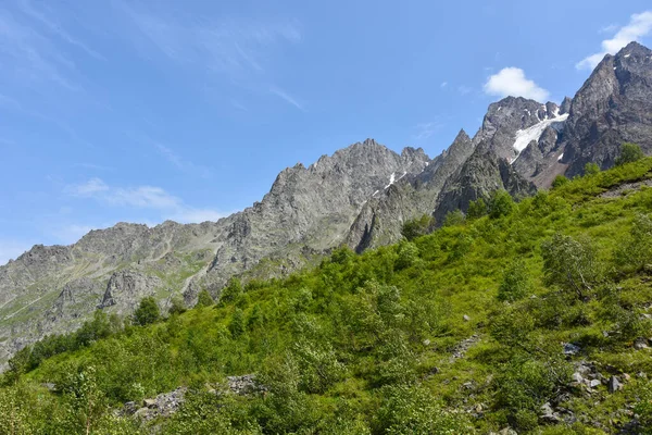 Garganta Tseyskoe Día Soleado Verano Rusia Osetia Del Norte — Foto de Stock