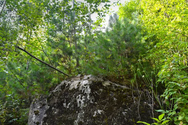 Riesige Moosige Steine Den Bergen Des Nordkaukasus Nordossetien Russland — Stockfoto