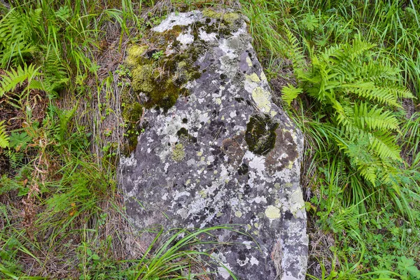 Enormes Piedras Musgosas Las Montañas Del Cáucaso Norte Osetia Del — Foto de Stock