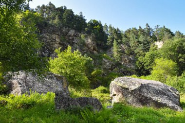Kuzey Kafkasya, Kuzey Osetya, Rusya 'daki dağlarda devasa yosun taşları