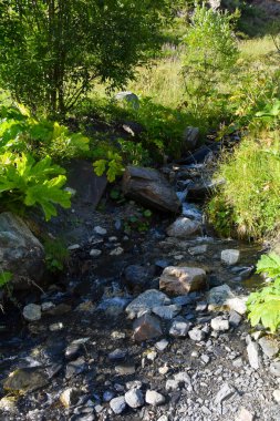 Kuzey Osetya 'daki büyük ve küçük nehirler ve şelaleler görkemli dağların arka planına karşı. Kuzey Osetya Cumhuriyeti - Alania