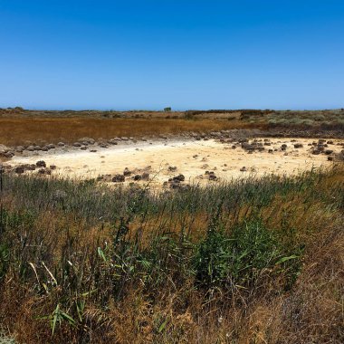 Absheron Ulusal Parkı bu bölgede yaşayan ceylanları, Hazar foklarını ve su kuşlarını korumak için kuruldu..