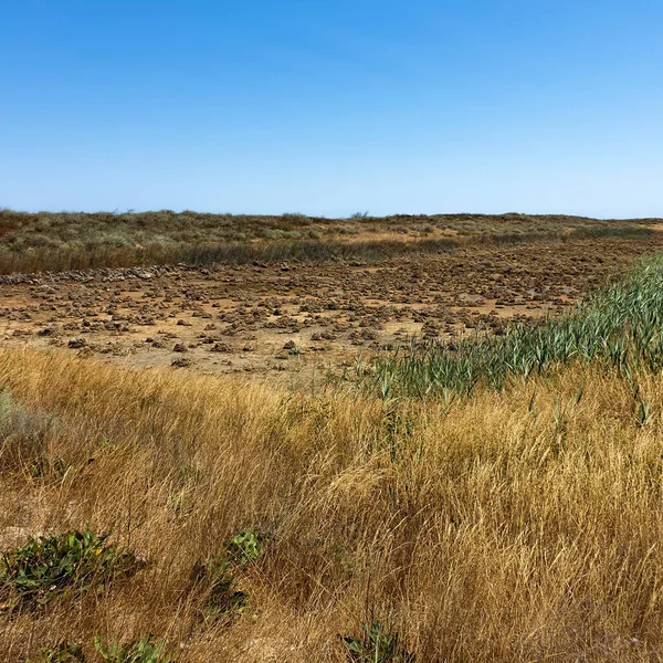 Absheron Ulusal Parkı Bölgede Yaşayan Ceylanları Hazar Foklarını Kuşlarını Korumak — Stok fotoğraf