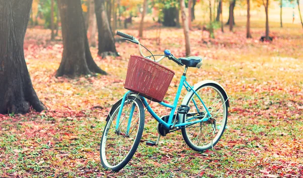 Bike for leisure travel. ( Focus at basket )  in vintage retro tone — Stock Photo, Image