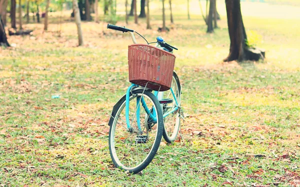 Bike for leisure travel. ( Focus at basket ) , in vintage retro tone — Stock Photo, Image