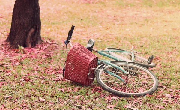 Bike for leisure travel. ( Focus at basket ) , in vintage retro tone — Stock Photo, Image