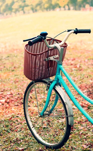 Detalhe de uma bicicleta, em tom retrô vintage — Fotografia de Stock