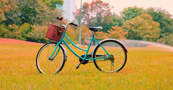 Bicicleta vintage esperando perto da árvore, em tom retro vintage — Fotografia de Stock